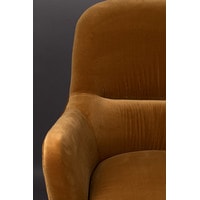 Интерьерное кресло Dutchbone Robusto (коричневый/золотистый) в Витебске