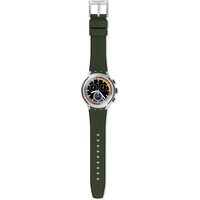 Наручные часы Swatch Moss YYS4009