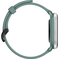 Умные часы Amazfit GTS 2 mini (зеленый шалфей)