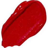 Жидкая помада для губ Paese The Kiss Lips 04 RUSTY RED