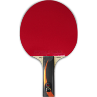 Ракетка для настольного тенниса Gambler X Fast Carbon X3d GRC-18 (прямая)