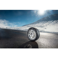 Зимние шины Michelin Alpin 5 225/55R17 101V