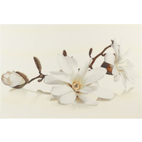 Керамическая плитка Opoczno Flora Magnolia 450x300 [50302]