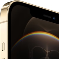 Смартфон Apple iPhone 12 Pro Max Dual SIM 256GB (золотой)