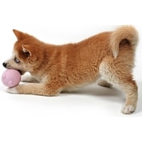 Игрушка для собак EBI Petit Balu 309/449462