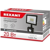 Уличный прожектор Rexant 605-008