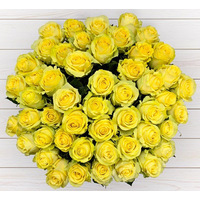 Цветы, букеты Bloom Букет из 51 розы Intense/60 см