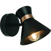 Точечный светильник Arte Lamp Baltimore A1406AP-1BK