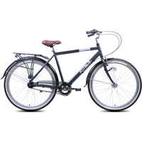 Велосипед Ritma Norman 2022 (серый)