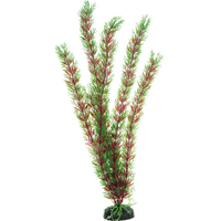 Искусственное растение Barbus Перестолистник Plant 001/20 (красный)