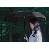Складной зонт Xiaomi Automatic Umbrella ZDS01XM в Гродно