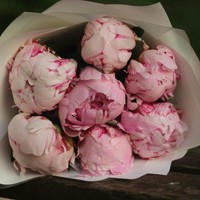 Цветы, букеты LaRose Букет из 7 нежно-розовых пионов