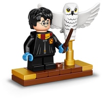 Конструктор LEGO Harry Potter 75979 Букля