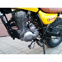 Мотоцикл Motoland V-RAPTOR 250