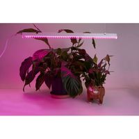 Лампа для растений Feron AL7001 41351