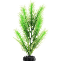 Искусственное растение Barbus Перестолистник Plant 028/30 (зеленый)