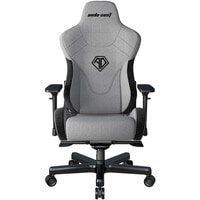 Кресло AndaSeat T-Pro 2 (серый/черный)