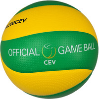 Волейбольный мяч Mikasa MVA200CEV (5 размер)