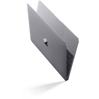 Ноутбук Apple MacBook (2015 год) [MJY42]