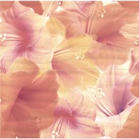 Керамическая плитка Opoczno Flower Power Multicolour Inserto Flower 600x594 [2009]