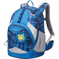 Школьный рюкзак Samsonite Sam Ergofit M CH1-31001