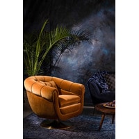 Интерьерное кресло Dutchbone Member (коричневый/золотистый) в Могилеве