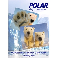Фотобумага Polar глянцевая A4, 120 г/м2, 20 л [A4G777120]