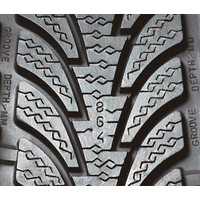 Зимние шины Ikon Tyres WR 225/60R15 96H