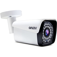 CCTV-камера Ginzzu HAB-5302S
