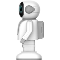 Робот Topjoy Robert RS01