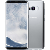 Смартфон Samsung Galaxy S8+ Dual SIM 64GB (арктический серебристый) [G955FD]