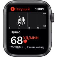 Умные часы Apple Watch SE 44 мм (алюминий серый космос/темная ночь) в Пинске