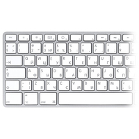 Клавиатура Apple MB110 Wired Keyboard [MB110RS/B]