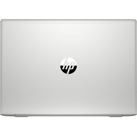Ноутбук HP ProBook 450 G7 8MH17EA