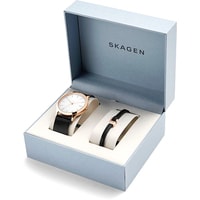 Наручные часы Skagen SKW1102