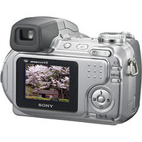 Фотоаппарат Sony Cyber-shot DSC-H2