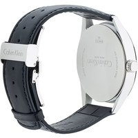 Наручные часы Calvin Klein K4M211C6