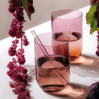 Набор стаканов для воды и напитков Villeroy & Boch Like Grape 19-5178-8190