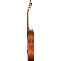 Акустическая гитара La Mancha Granito 32