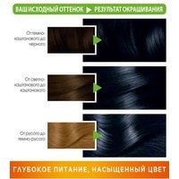 Крем-краска для волос Garnier Color Naturals Creme 1.10 холодный черный