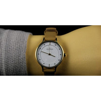 Наручные часы Skagen SKW2146