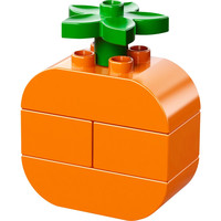 Конструктор LEGO 10566 Creative Picnic Set