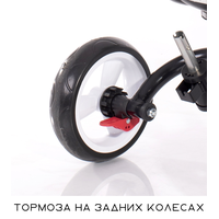 Детский велосипед Lorelli Jaguar Eva 2021 (черный)