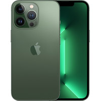 Смартфон Apple iPhone 13 Pro Dual SIM 128GB (альпийский зеленый)