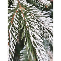 Сосна Christmas Tree Северная люкс с шишками 3 м
