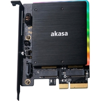 Адаптер Akasa AK-PCCM2P-03
