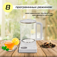 Электрический чайник Evolution KG1015S THERMOCONTROL в Пинске