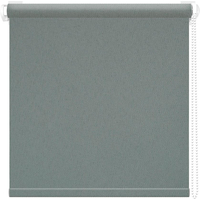 Рулонные шторы АС МАРТ Оксфорд 43x160 (светло-серый)