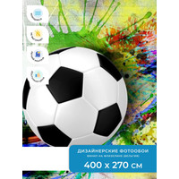 Фотообои ФабрикаФресок Футбольный мяч с красками 734270 (400x270)