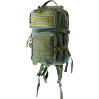 Туристический рюкзак TRAMP Squad 35 (зеленый)